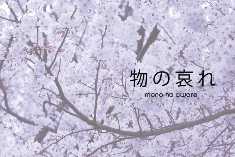 văn hóa đồng cảm với sự vật